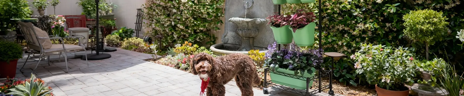 Зеленая жизнь