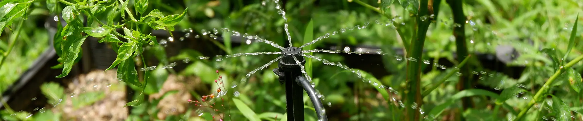 Капельное орошение