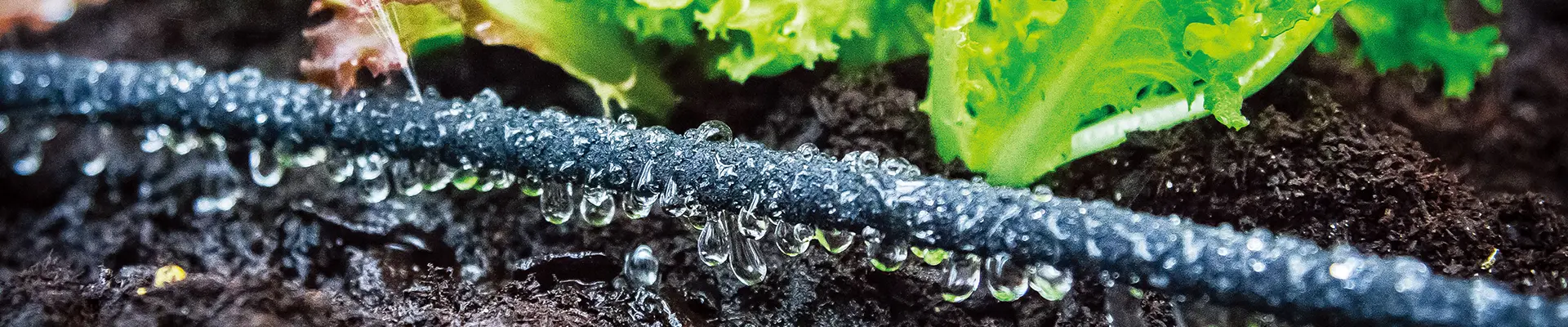 Комплект для орошения своими руками