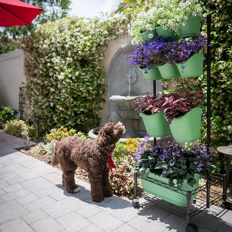 Металлическая мобильная двойная рама с зеленой стеной