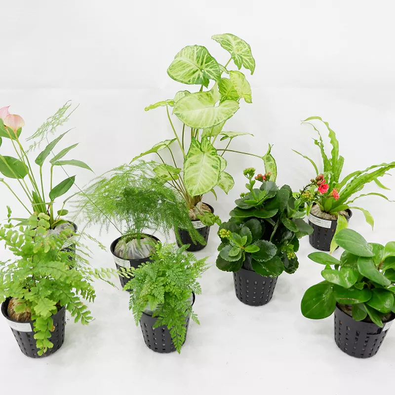 Материал ПП, 3-дюймовая внутренняя сеялка